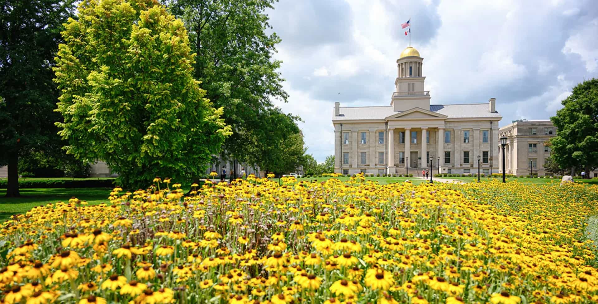 Tippie Iowa Customer